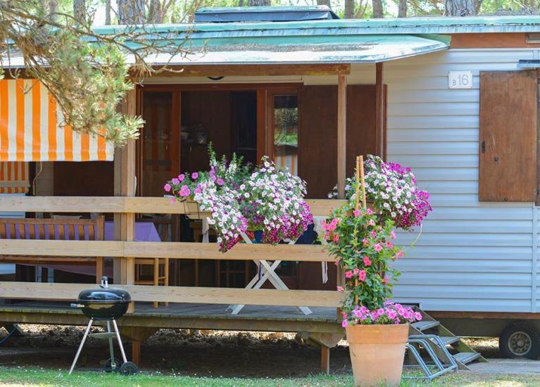 Il Tridente Camping Village 比比翁 外观 照片