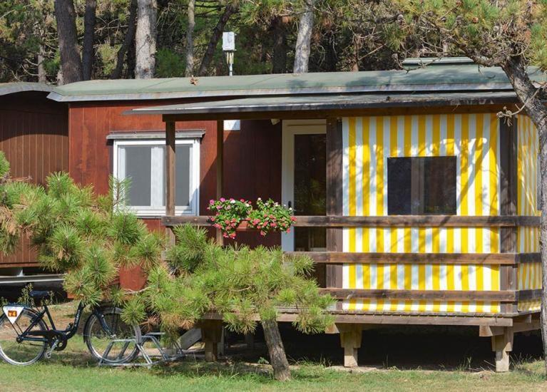 Il Tridente Camping Village 比比翁 外观 照片