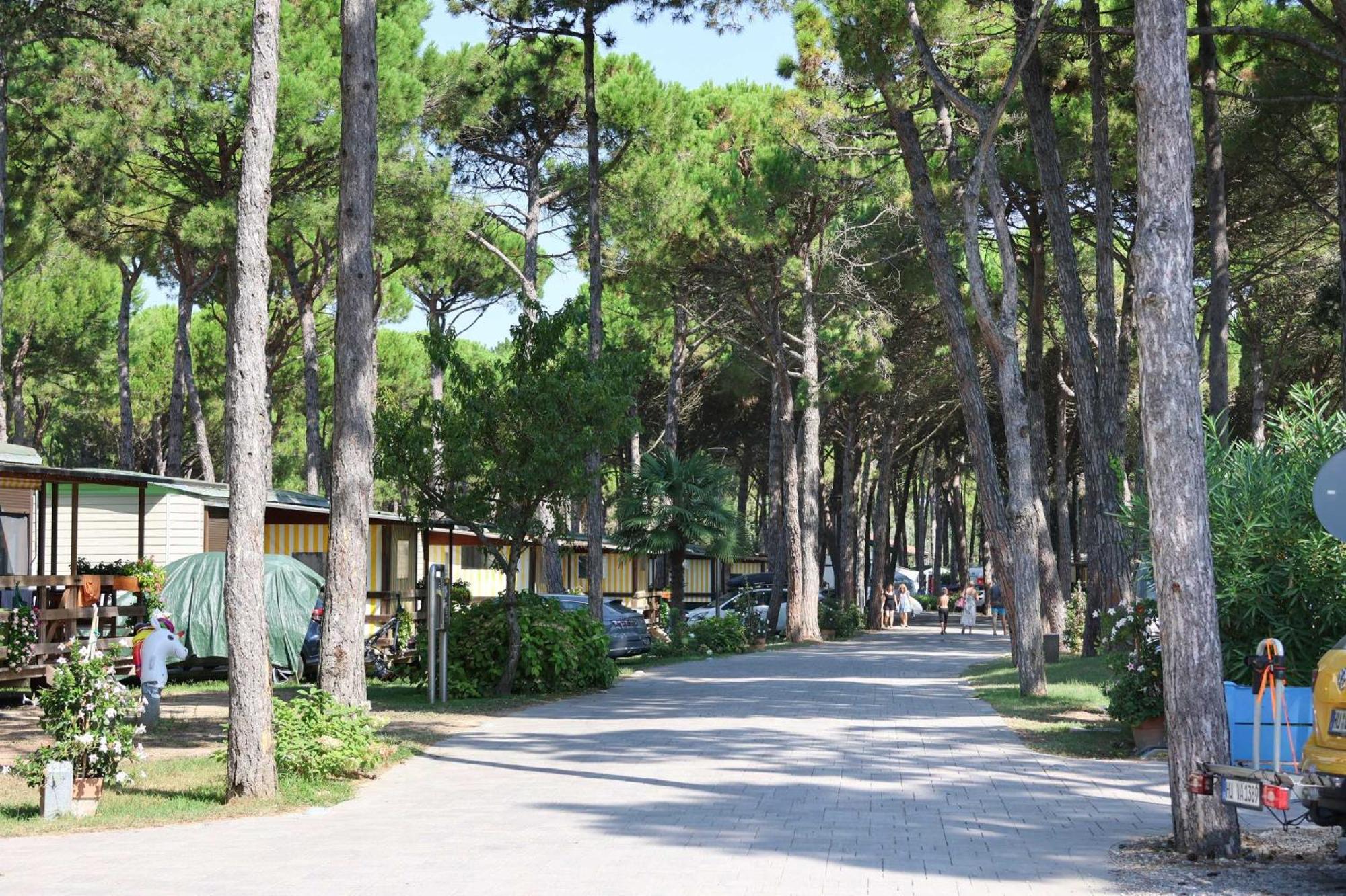 Il Tridente Camping Village 比比翁 外观 照片
