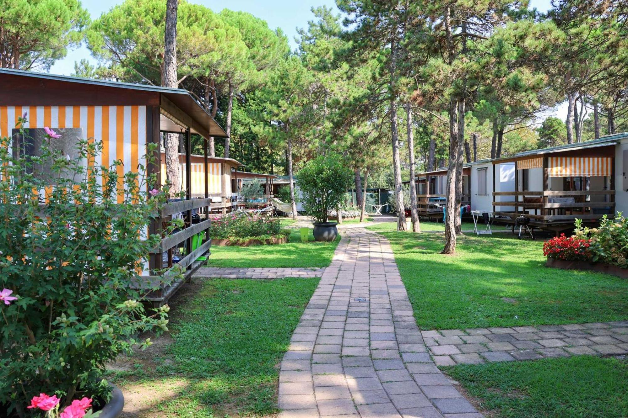Il Tridente Camping Village 比比翁 外观 照片
