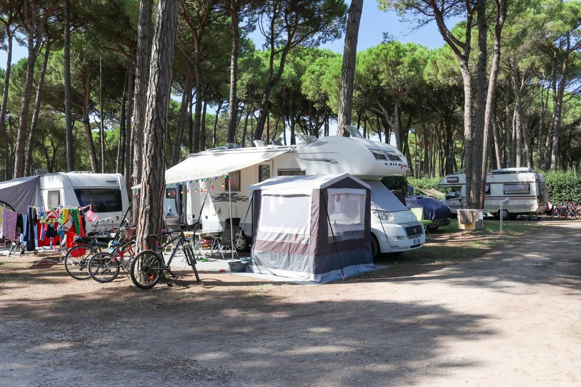 Il Tridente Camping Village 比比翁 外观 照片