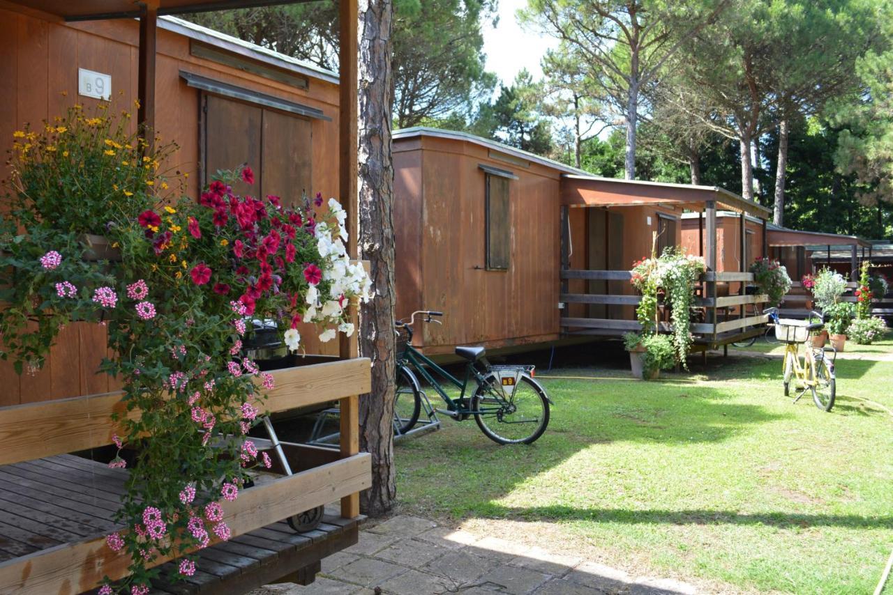 Il Tridente Camping Village 比比翁 外观 照片