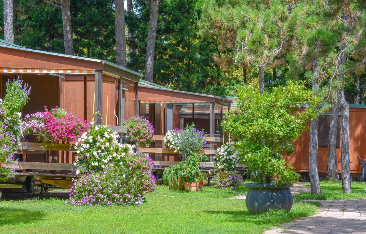Il Tridente Camping Village 比比翁 外观 照片